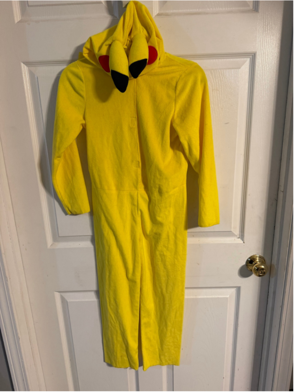 Pokémon Costume